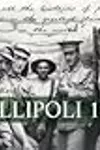 Galliopi 1915
