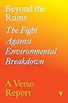 Beyond the Ruins: The Fight Against Environmental Breakdown