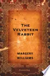 Velveteen Rabbit, with Book