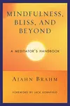 Mindfulness, bliss and beyond : a meditator's handbook