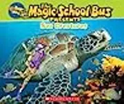The Magic School Bus Presents: Sea Creatures: A Nonfiction Companion to the Original Magic School Bus Series