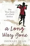 A Long Way Gone: The True Story Of A Child Soldier