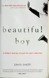 Beautiful Boy: A Father's Journey Through His Son's Addiction
