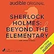 Sherlock Holmes: Beyond the Elementary