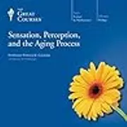 Sensation, Perception, and the Aging Process