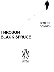 Through black spruce