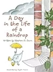 A Day in the Life of a Raindrop