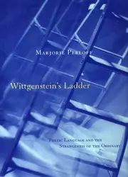 Wittgenstein's Ladder