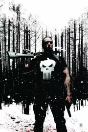 The Punisher, Vol. 4