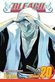 Bleach, Volume 20