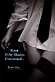 Meet Fifty Shades Continued - Fifty Shades of Grey