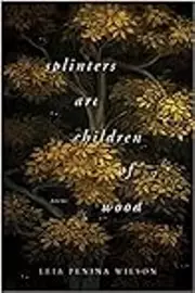 Splinters Are Children of Wood