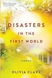 Disasters in the First World: Stories