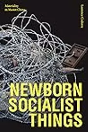 Newborn Socialist Things: Materiality in Maoist China
