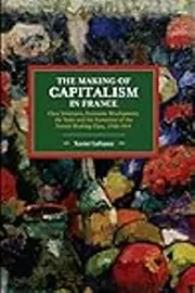 The Making of Capitalism in France. Class Structures, Economic Development, the State and the Formation of the French Working Class, 1750-1914
