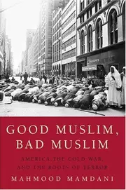 Good Muslim, bad Muslim