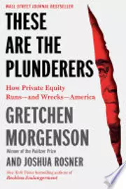 These Are the Plunderers: How Private Equity Runs—and Wrecks—America