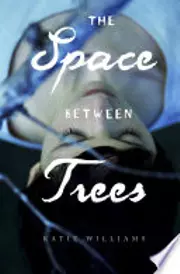 The space between trees