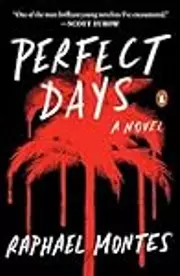 Perfect Days: A Novel