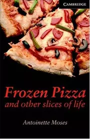 Frozen Pizza and Other Slices of Life Level 6