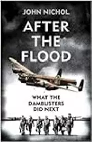 After the Flood: What the Dambuster Did Next