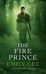 The Fire Prince the Sentinel Mage Trilogy Book 2