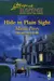 Hide In Plain Sight (The Three Sisters Inn Series #1) (Steeple Hill Love Inspired Suspense)