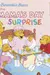 The Berenstain Bears and the Mama's day surprise