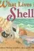 What lives in a shell?