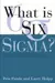 What is six sigma?