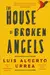 The House of Broken Angels