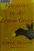 Vampires in the Lemon Grove: Stories