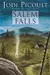 Salem Falls