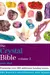The Crystal Bible, Volume 2
