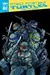 Teenage Mutant Ninja Turtles: Reborn, Volume 1 – From the Ashes