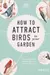 How to Attract Birds to Your Garden: Foods they like, plants they love, shelter they need