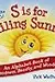 A New Take on ABCs - S is for Smiling Sunrise: An Alphabet Book of Goodness, Beauty, and Wonder
