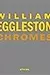 William Eggleston: Chromes