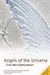 Angels of the Universe