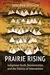 Prairie Rising: Indigenous Youth, Decolonization, and the Politics of Intervention