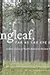 Longleaf, Far as the Eye Can See: A New Vision of North America's Richest Forest
