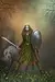 The Celtic Warrior Princess