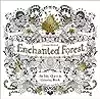 Enchanted Forest: An Inky Quest & Coloring Book